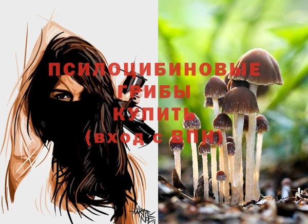 амфетамин Лихославль