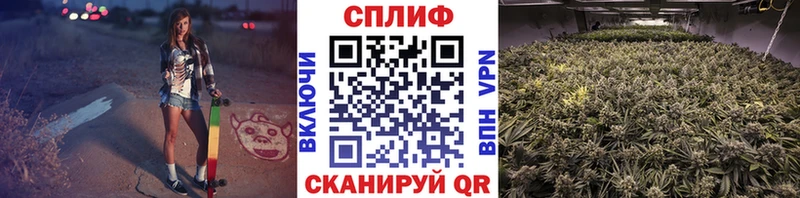 Бошки марихуана планчик  Купить закладки  Кумертау 